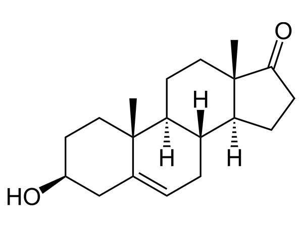 DHEA (prasteroon)